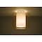 Besa Lighting Pahu 12 Ceiling, Trans. Armagnac/Opal, Satin Nickel Finish, 1x100W Incandescent 1KM-G18407-SN - alternate 1